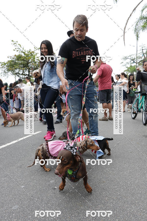Buy your photos of the event13� C�ominhada - Santos on Fotop