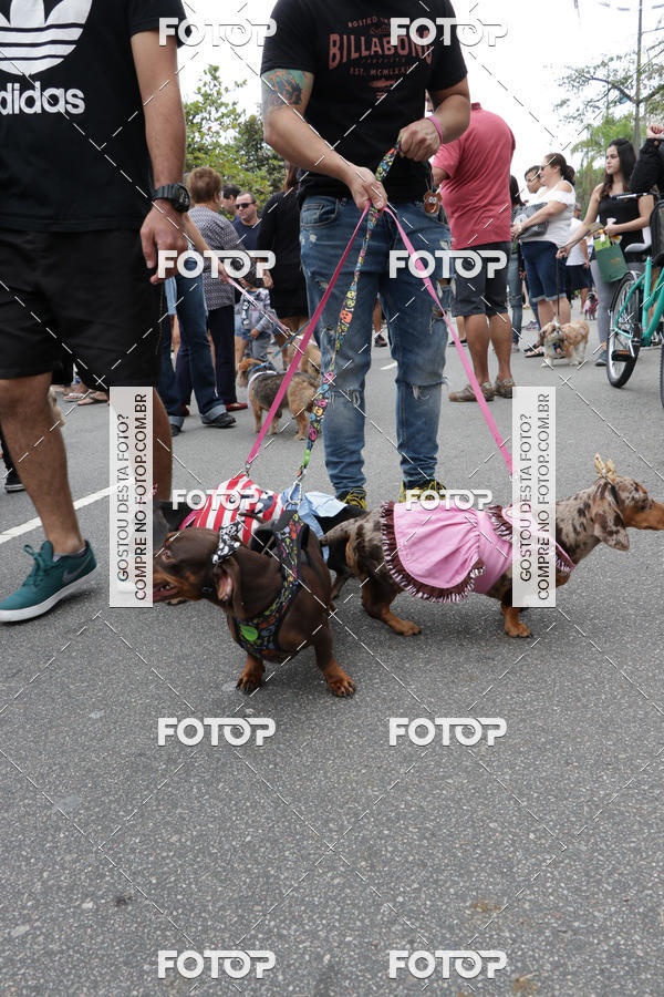 Buy your photos of the event13� C�ominhada - Santos on Fotop