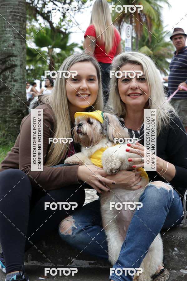 Buy your photos of the event13� C�ominhada - Santos on Fotop