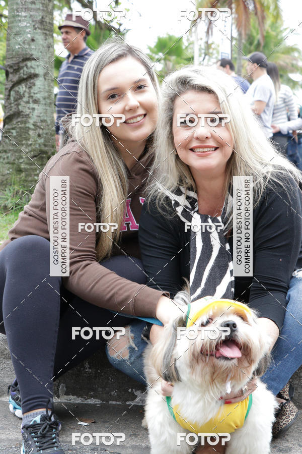 Buy your photos of the event13� C�ominhada - Santos on Fotop