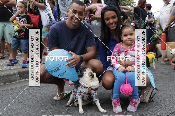 Buy your photos of the event13� C�ominhada - Santos on Fotop