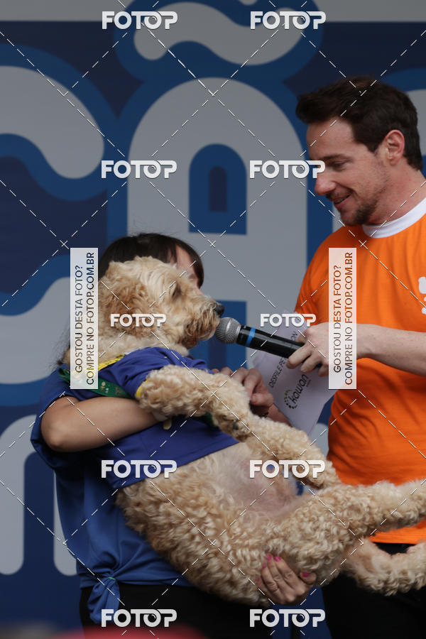 Buy your photos of the event13� C�ominhada - Santos on Fotop
