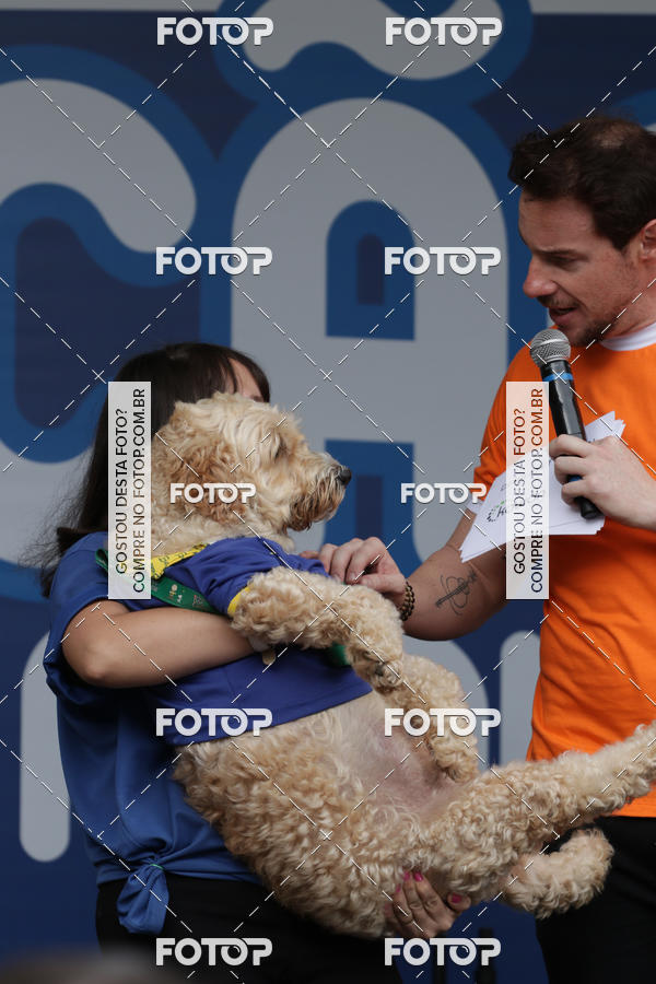 Buy your photos of the event13� C�ominhada - Santos on Fotop