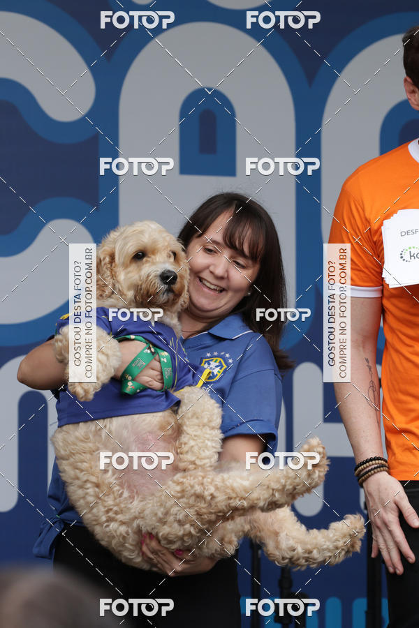 Buy your photos of the event13� C�ominhada - Santos on Fotop