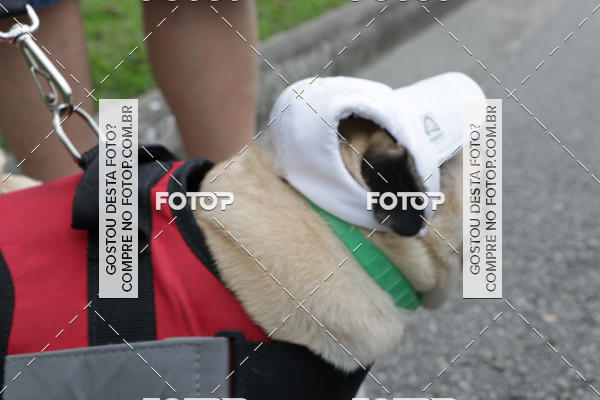 Buy your photos of the event13 Cominhada - Santos on Fotop