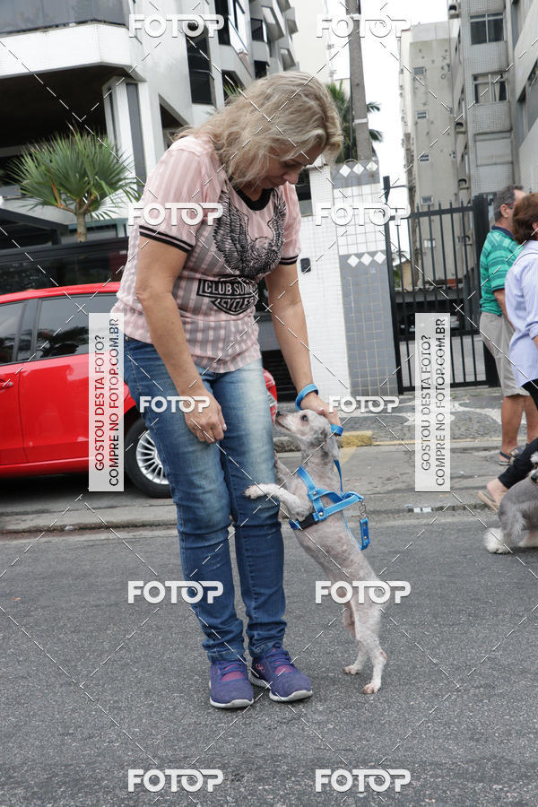 Buy your photos of the event13� C�ominhada - Santos on Fotop