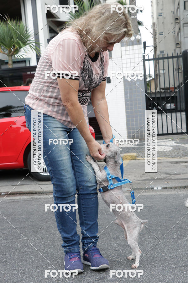 Buy your photos of the event13� C�ominhada - Santos on Fotop