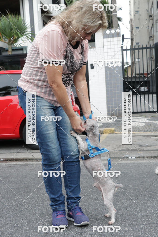 Buy your photos of the event13� C�ominhada - Santos on Fotop