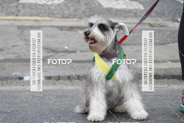 Buy your photos of the event13� C�ominhada - Santos on Fotop