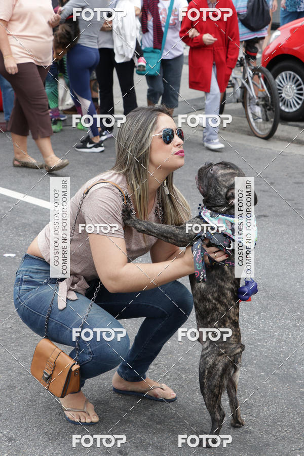 Buy your photos of the event13� C�ominhada - Santos on Fotop