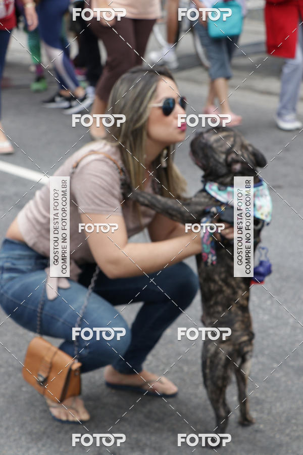 Buy your photos of the event13� C�ominhada - Santos on Fotop