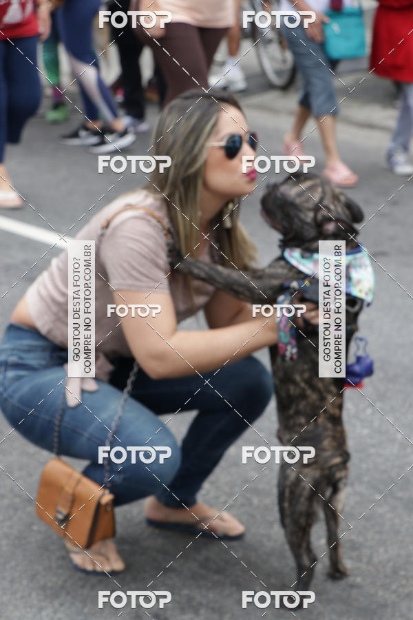 Buy your photos of the event13� C�ominhada - Santos on Fotop