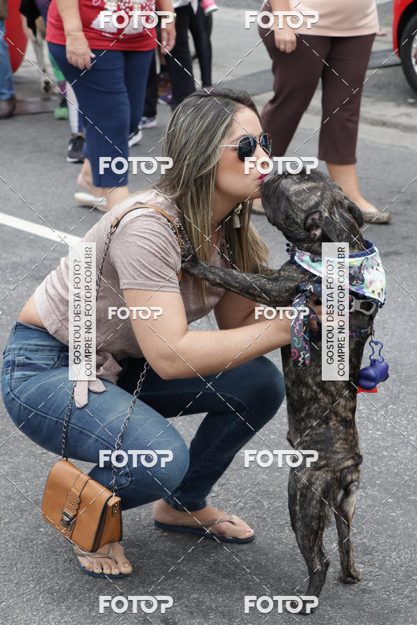 Buy your photos of the event13� C�ominhada - Santos on Fotop