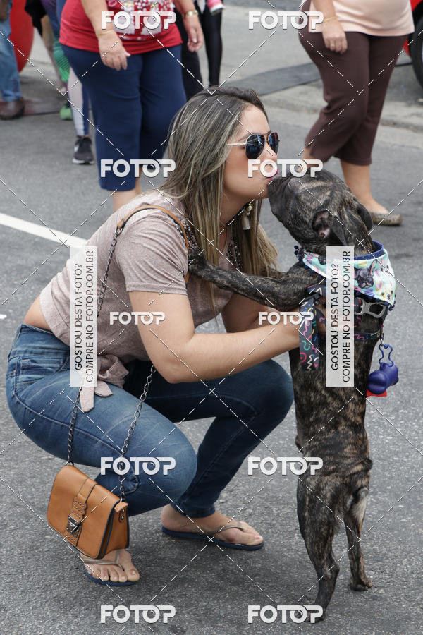 Buy your photos of the event13� C�ominhada - Santos on Fotop