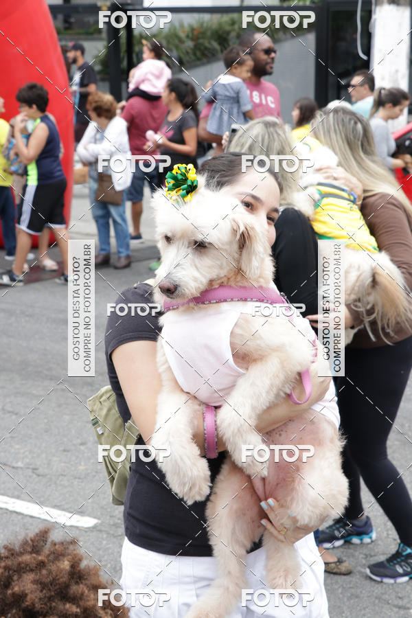 Buy your photos of the event13� C�ominhada - Santos on Fotop