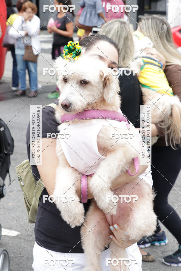 Buy your photos of the event13� C�ominhada - Santos on Fotop