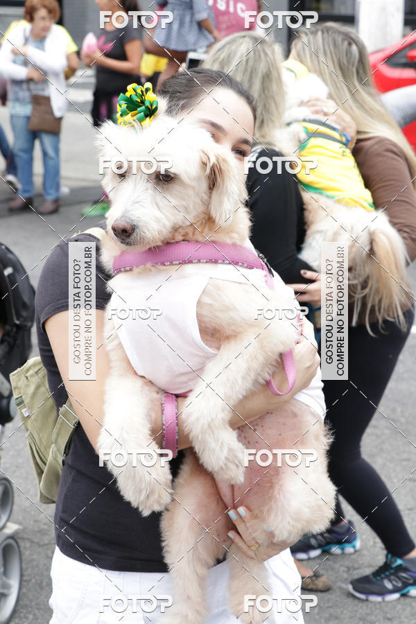 Buy your photos of the event13� C�ominhada - Santos on Fotop