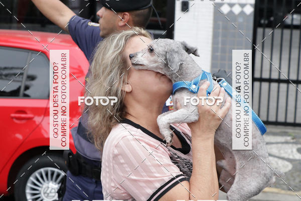 Buy your photos of the event13� C�ominhada - Santos on Fotop