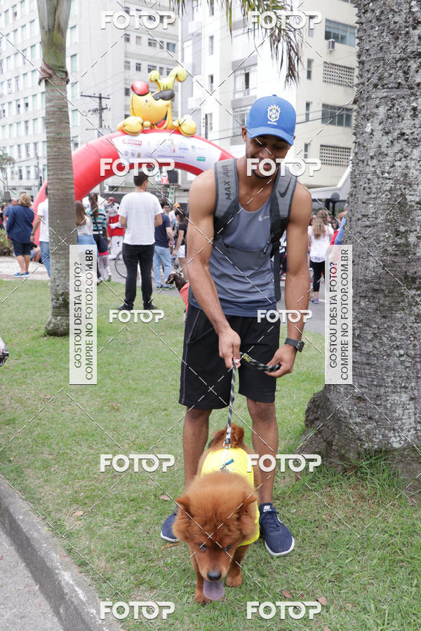 Buy your photos of the event13� C�ominhada - Santos on Fotop