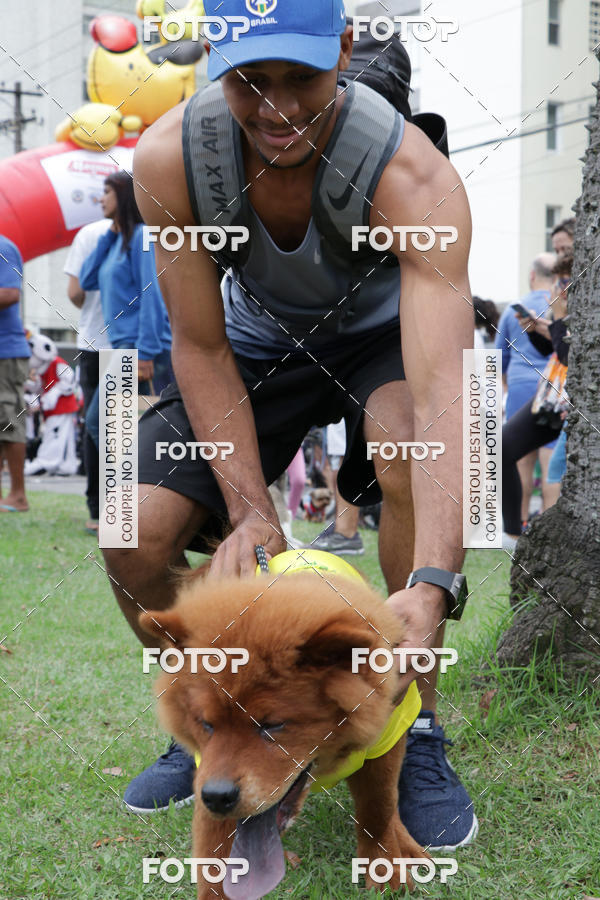 Buy your photos of the event13� C�ominhada - Santos on Fotop