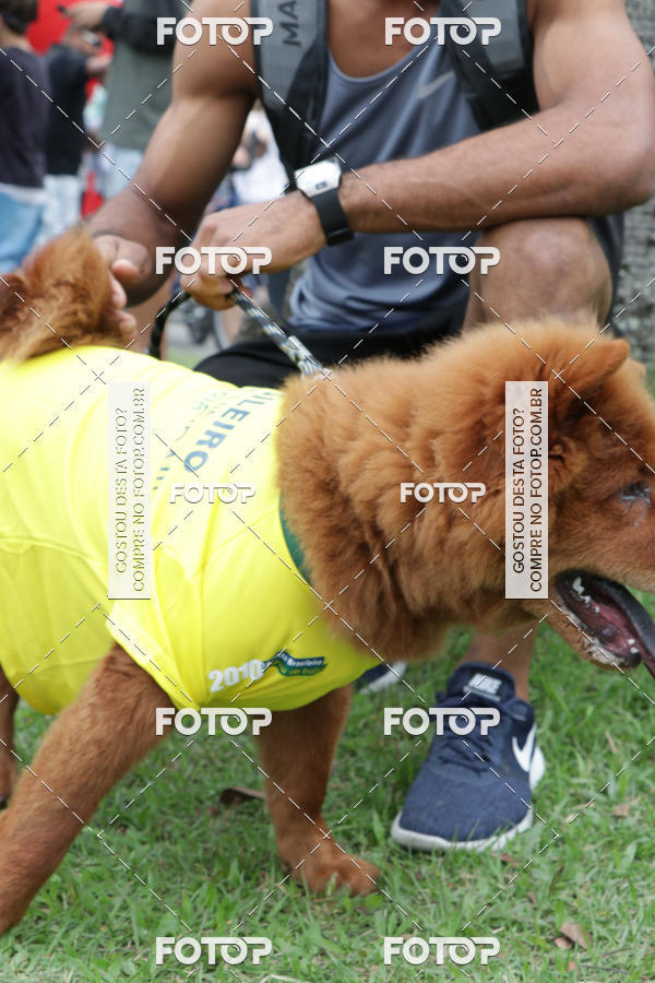 Buy your photos of the event13� C�ominhada - Santos on Fotop