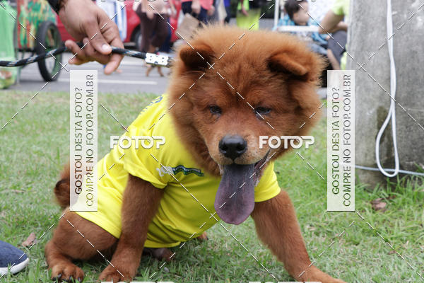 Buy your photos of the event13� C�ominhada - Santos on Fotop