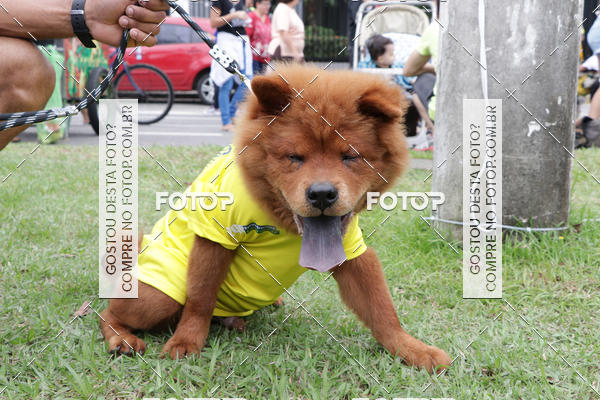 Buy your photos of the event13� C�ominhada - Santos on Fotop