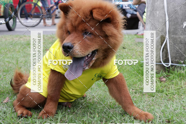 Buy your photos of the event13� C�ominhada - Santos on Fotop