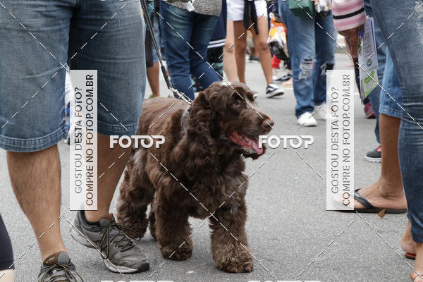 Buy your photos of the event13� C�ominhada - Santos on Fotop