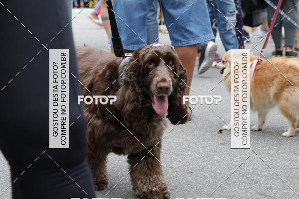 Buy your photos of the event13� C�ominhada - Santos on Fotop