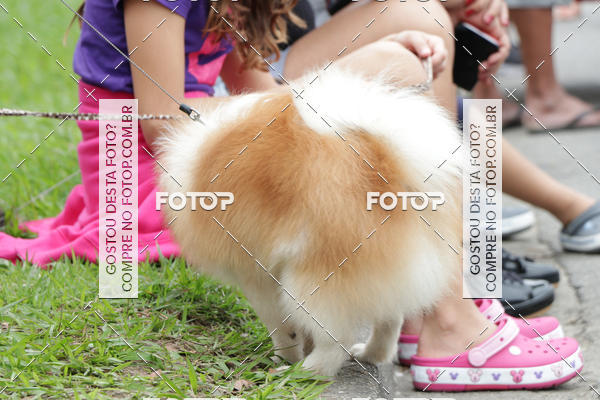 Buy your photos of the event13� C�ominhada - Santos on Fotop