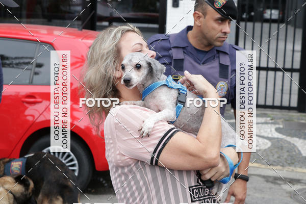 Buy your photos of the event13� C�ominhada - Santos on Fotop