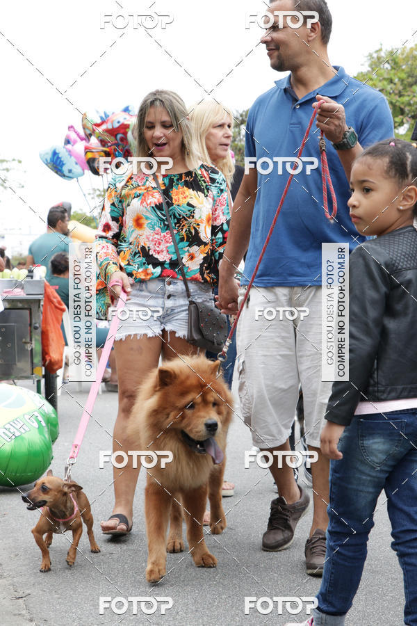 Buy your photos of the event13� C�ominhada - Santos on Fotop