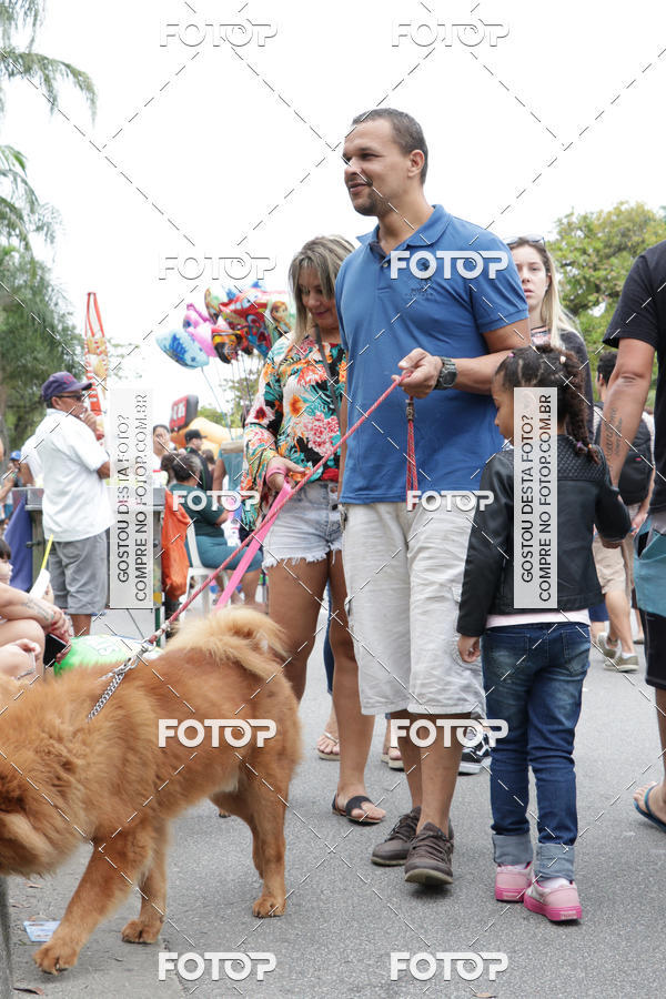 Buy your photos of the event13� C�ominhada - Santos on Fotop