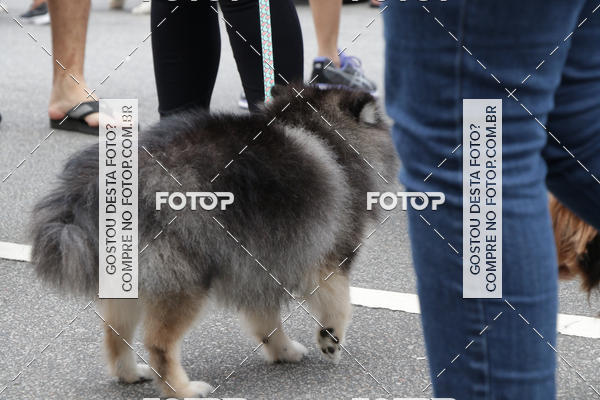 Buy your photos of the event13� C�ominhada - Santos on Fotop