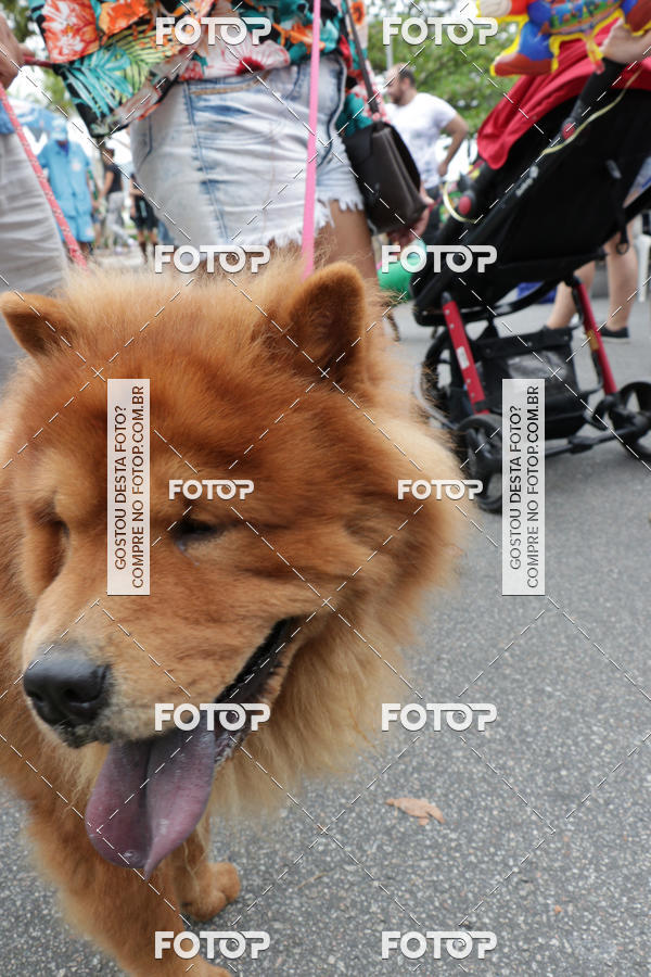 Buy your photos of the event13� C�ominhada - Santos on Fotop