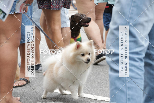 Buy your photos of the event13� C�ominhada - Santos on Fotop