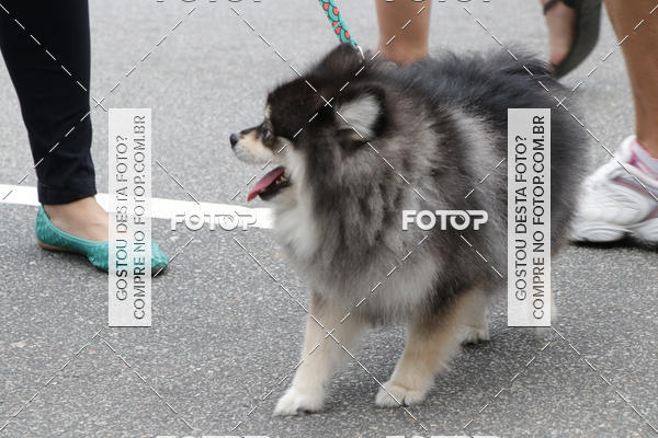 Buy your photos of the event13� C�ominhada - Santos on Fotop