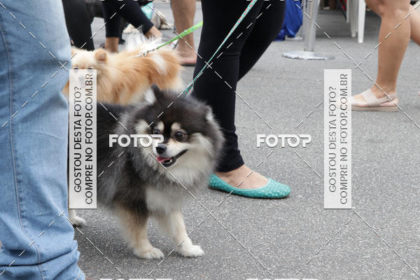 Buy your photos of the event13� C�ominhada - Santos on Fotop