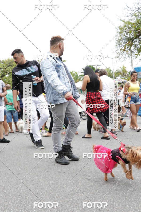 Buy your photos of the event13� C�ominhada - Santos on Fotop