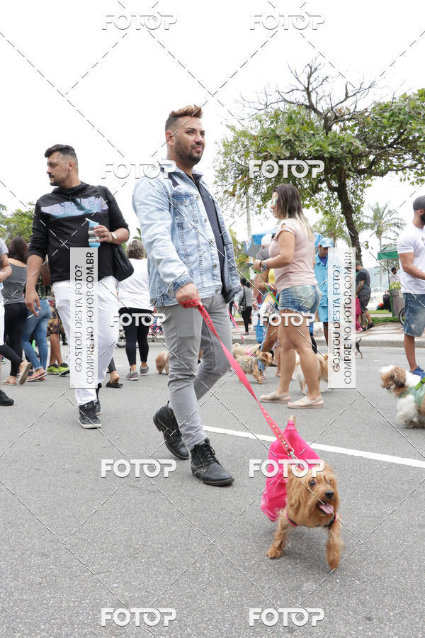 Buy your photos of the event13� C�ominhada - Santos on Fotop
