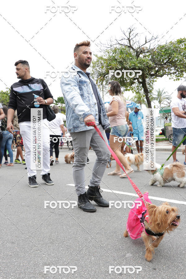 Buy your photos of the event13� C�ominhada - Santos on Fotop