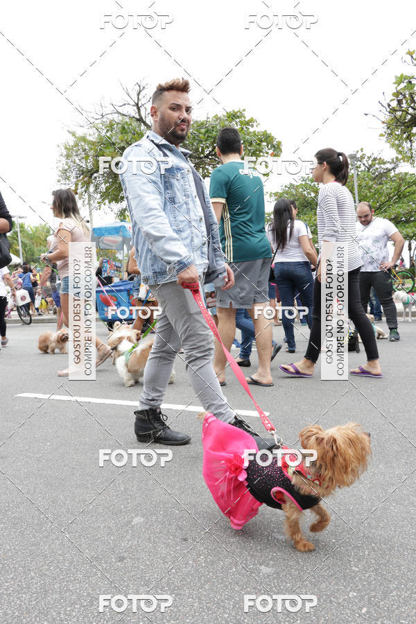 Buy your photos of the event13� C�ominhada - Santos on Fotop