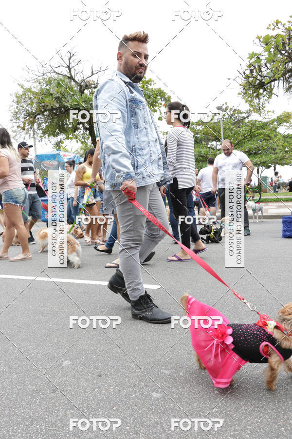 Buy your photos of the event13� C�ominhada - Santos on Fotop