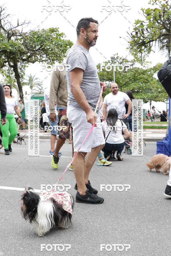 Buy your photos of the event13� C�ominhada - Santos on Fotop