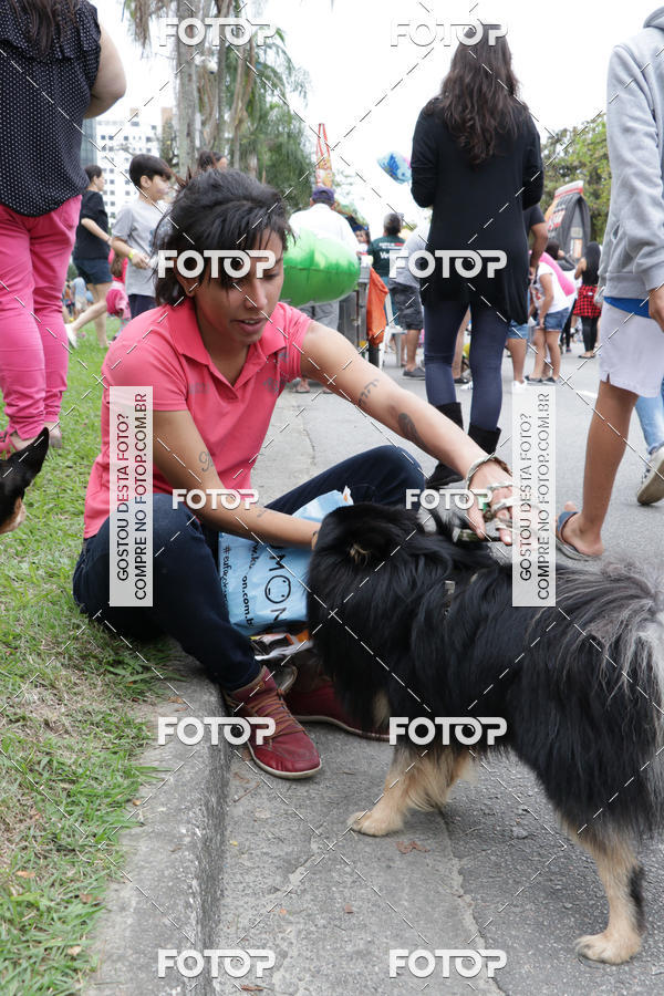 Buy your photos of the event13� C�ominhada - Santos on Fotop