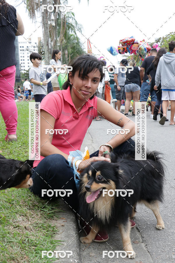 Buy your photos of the event13� C�ominhada - Santos on Fotop