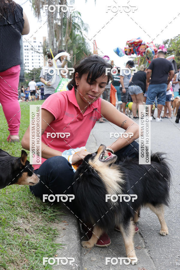 Buy your photos of the event13� C�ominhada - Santos on Fotop