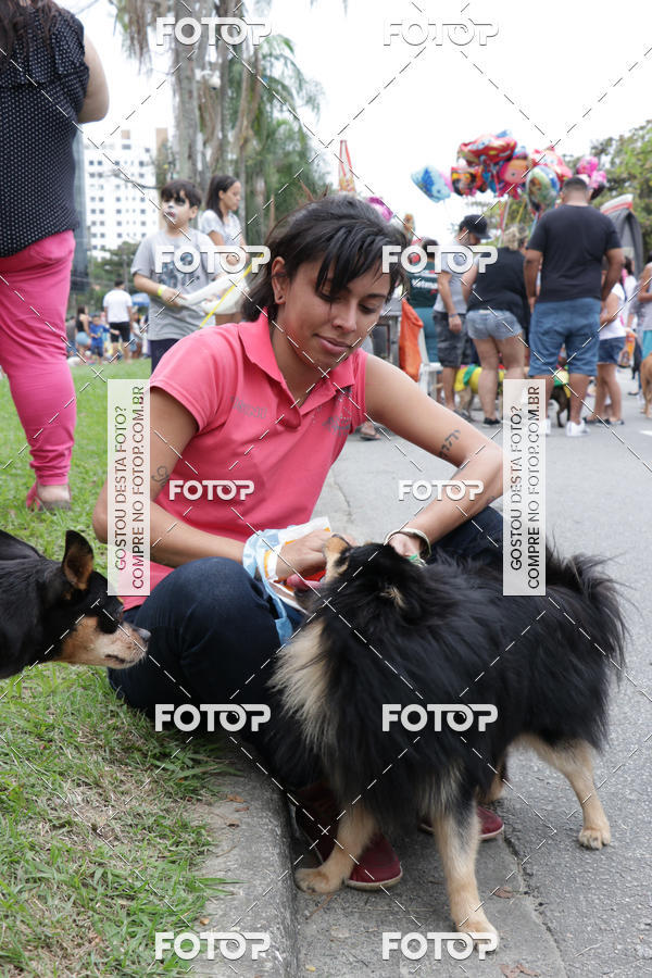 Buy your photos of the event13� C�ominhada - Santos on Fotop