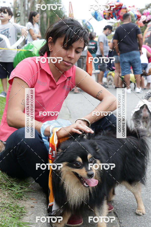 Buy your photos of the event13� C�ominhada - Santos on Fotop